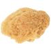 Croll & Denecke Natural Sponge G5 approx. 19cm