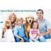 Natural Seal Spray & Shield Silver Brush Bandage Combo | Protective First Aid | Woman-Owned Made in USA - Buy Online on GoSupps.com