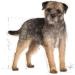 Royal Canin Sterilized Mousse | 12 x 85 g | Complete Food for Adult and Sterilized Dogs from 10 Months | Digestible Proteins - Buy Online on GoSupps.com