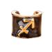 Charmed Stethoscope Charm Zodiac Sign - Sagitarius Zodiac - Sagittarius