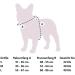 Best Dog Harness for Small Dogs | Reflective Soft Padded Adjustable & Anti-Train - Perfect for Running & Safety - Buy Online on GoSupps.com