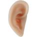 Simulation Ear Model - 1 Pair Soft Silicone Artificial Ear Model - Acupuncture Practice Human Left Right Ear Model - for Piercing Practice Jewelry Display Props - Buy Online on GoSupps.com