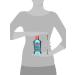 Colgate Enamel Health Mouthwash Sparkling Fresh Mint 16.9 oz (Pack of 3) - Anticavity Fluoride Formula - Buy Online on GoSupps.com