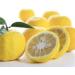 CHILL TEA Tokyo Yuzu Citrus Green Tea - Japanese Loose Leaf Blend for Relaxation - Yuzu Flavour - 30g - Buy Online on GoSupps.com