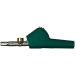 AST Labs Alligator Clip Bed-of-Nail and Single Spike Straight Nose Large Set of 5 Colors - Buy Online on GoSupps.com