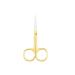 IOIUSKKU Nail Cuticle Nippers Stainless Steel Scissors Eyebrow Trimmer Trimming Tool Spray Gold