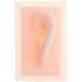 Jojomis 1:1 Silicone Acupuncture Ear Model High-Quality Pair (8.9 x 6.1 cm) for Accurate Acupuncture Practice | International Shipping Available - Buy Online on GoSupps.com