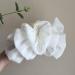 Bow Bubble Clips 2/4pcs Large Large Chiffon Bubble Bow Hair Claw Jaw Clip Hair Claw Clips for Women's Hair Accessories Claw Clip for Thick Long Hair (C(2pcs)) - Buy Online on GoSupps.com