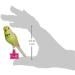 Penn-Plax Acrylic Bird Figure - Small Size on Spring | Cage Attachment | Enhance Your Bird's Environment - Buy Online on GoSupps.com