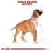 ROYAL CANIN Boxer Puppy 30 Dry Mix 3 kg - Buy Online on GoSupps.com