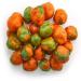 Yupik Sriracha Coated Green Peas Crunchy Roasted Spicy 1Kg 1 kg (Pack of 1) - Buy Online on GoSupps.com
