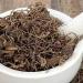Black cohosh - Buy Online on GoSupps.com