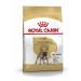 Royal Canin French Bulldog Pack of 2 adult dog kibbles 3 kg