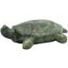 STUDIOSTONE CREATIVE Turtle Soapstone Sculpture DIY Kit for Kids & Adults - Buy Online on GoSupps.com