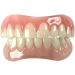 Billy-Bob Instant Smile Lower Veneer - Get a Perfect Smile Instantly - Buy Online on GoSupps.com