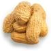 Yupik Dry Roasted Unsalted Peanuts In Shell 1 kg Kosher Gluten-Free Vegan Whole Nuts with Shell No Added Salt Lightly Roasted Oil-Free High in Fiber Healthy Snack Once Shelled Roasted Peanuts 1 kg (Pack of 1) - Buy Online on GoSupps.com