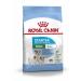 Royal Canin Mini Starter Mother & Babydog Dry Food 4kg 3 kg (Pack of 1)