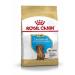 Royal Canin Dachshund Puppy Food 1.5kg (Pack of 2)