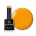 Bluesky Gel Nail Polish ORANGE HEAR ME SPRING SUMMER 2023 SS2310 UV LED Soak Off 10ml (Requires Curing Under UV LED Lamp) From The SPEAK YOUR TRUTH IN SPRING Collection