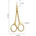 Stainless Steel Russian Style Dead Skin Scissors Manicure to Remove Dead Skin Barbs Professional Tool Front Dead Skin Scissors Stainless Steel Manicure Trimming Tools (Color : As Shown Size : A2) A2 As Shown - Buy Online on GoSupps.com