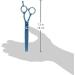 Master Grooming Tools 5200 Blue Titanium 42-Tooth Thinning Shears for Dogs - Buy Online on GoSupps.com