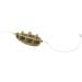 Extra Carp Method Feeder with Connector 50g - 10 Pcs Brown Feed Baskets for International Shipping - Buy Online on GoSupps.com