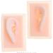 Silicone Ear Model for Educational Kit for The Acupuncture Treatment of The School Model of Human Ear Silicone-Size Natural 1 1 1 Pair - Buy Online on GoSupps.com