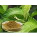 Organics Guava Leaves Powder/Koiya Leaves Powder (Amrood Patti/Koiya ilai) - 100gm - Buy Online on GoSupps.com