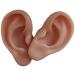 Silicone Ear Models Soft Silicone Artificial Ear Model for Ear Picking Practice Used for Acupuncture Practice Training Headset Display Props(1 Pair) - Buy Online on GoSupps.com
