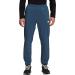 THE NORTH FACE Men's Wander Pant Large Shady Blue