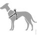 HUNTER Neoprene Vario Quick Harness - Black/Grey XS-S | Durable Reflective Dog Harness for Comfortable International Shipping - Buy Online on GoSupps.com