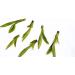 150g Chinois Naturel Th Vert Dragon Puits Longjing Th Cru de Printemp Th Vert - Buy Online on GoSupps.com