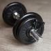 C.P.Sports Feather Closures | Spring Fixed Dumbbell Closures | Robust Steel | 25mm 28mm 30mm 50mm | Perfect for Strength Training Bodybuilding & Fitness | Available in 4 Colors - Buy Online on GoSupps.com