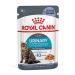 ROYAL CANIN Urinary Care In Jelly Adult Wet Cat Food (Pack of 24)