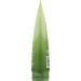 Giovanni Cosmetics 2Chic U-Moist Conditioner - Avocado 277g | Hydrating & Nourishing Hair Care | International Shipping - Buy Online on GoSupps.com