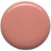 Essence Gel Nail Colour Gel Polish No. 30 Nude To Know Nude Express Result Long-Lasting Colour-Intense Gely Shiny No Acetone Vegan Microplastic Particles Free (8 ml) - Buy Online on GoSupps.com