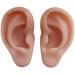 Silicone Ear Models Soft Silicone Artificial Ear Model for Ear Picking Practice Used for Acupuncture Practice Training Headset Display Props(1 Pair) - Buy Online on GoSupps.com