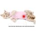 Voarge Recovery Suit for Cats - Post-Op Anti-Licking & Warmth Size M Pink - Ideal for Healing After Surgery - Buy Online on GoSupps.com