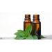 Herbal Magic's Pure & Natural Liquid Stevia Drops Sweetener - Free from PRESERVATIVES/ADDITIVES - 20ml - Buy Online on GoSupps.com