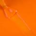 Bluesky Gel Nail Polish Orange Sorbet - Neon04 Bright Long Lasting Chip Resistant 5ml (Requires Drying Under UV LED Lamp) Neon Orange 5 ml (Pack of 1) - Buy Online on GoSupps.com