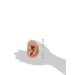3B Scientific N15/1R SKIN Like Silicone Right Acupuncture Ear Model 3.7-Inchx2.4-Inchx1.6-Inch - Buy Online on GoSupps.com