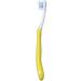 Colgate My First Baby Toothbrush Extra Soft - Pack of 6 | Colors Vary - Buy Online on GoSupps.com