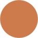 WYCON cosmetics Radiant Stick Concealer Veganfriendly in romige stick 14 Salted Caramel - Buy Online on GoSupps.com