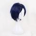 Tenya Iida Blue Short Wig - Cosplay Costume from Boku No Hero Academia | Heat Resistant Synthetic Hair for Men - Buy Online on GoSupps.com