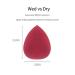BABA Luxury Beauty Sponge Set - Non-Allergenic Makeup Blenders for Flawless Foundation Application | Multi-Colored Set of 5 - Buy Online on GoSupps.com