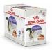 Royal Canin Sterilised Adult In Gravy Wet Cat Food 85g (Pack of 48) - Buy Online on GoSupps.com