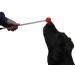 Karen Pryor Lollipop Target Stick for Clicker Training - Buy Online on GoSupps.com