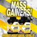 BioX Nitro Juice Gainer | High Protein Weight Gaining Formula | 1000 Calories 53g Protein with Fast & Slow Release Protein Blend 3g Creatine Monohydrate 2g Glutamine 11g BCAAs (5.45KG Chocolate) Chocolate 5.45 kg (Pack of 1) - Buy Online on GoSupps.com