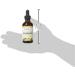 Eclectic Institute Elderberry Extract 500mg - Immune Support & Antioxidant | 2 fl oz (60 ml) - Buy Online on GoSupps.com