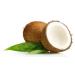 Naturra Organic Coconut Oil Duo with Black Cumin Oil - 100g Glass Jar | Premium Natural Skincare & Health Benefits - Buy Online on GoSupps.com